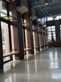 Where the Light Gathers Installation View